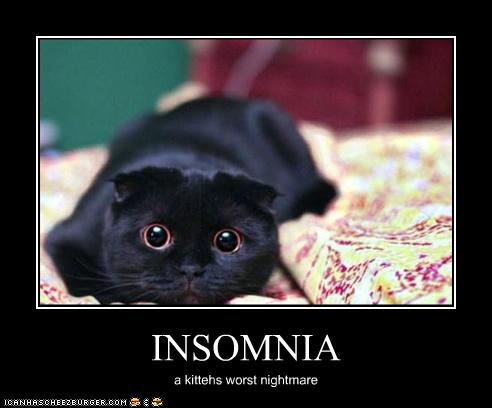 Insomnia Kitty