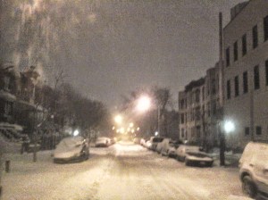 Juno Snowstorm Brooklyn