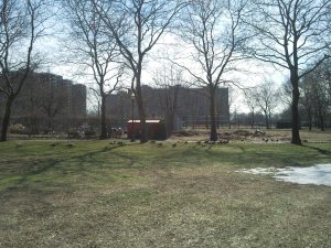 Mother Goose Birthday13(1)