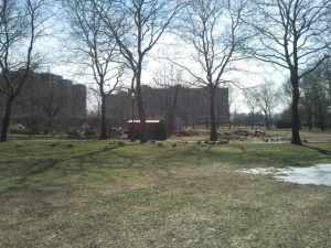 Mother Goose Birthday25 (3)