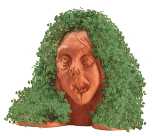Chia Zombie