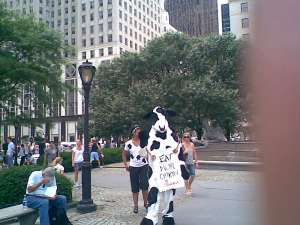 Cows trying to get people to eat more Chicken!