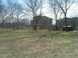 Mother Goose Birthday12