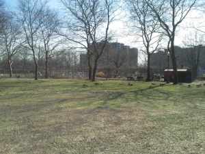 Mother Goose Birthday28(1)