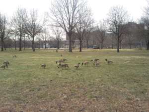 Mother Goose Birthday31