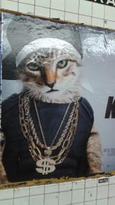 Hip_Hop_Cat