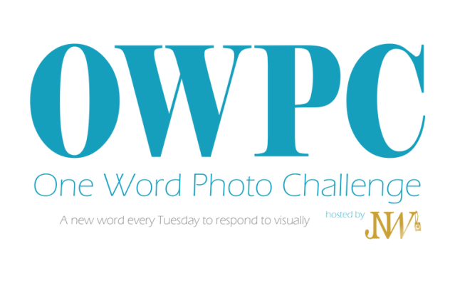 owpc logo 2